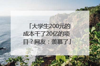 大学生200元的成本干了20亿的项目？网友：羡慕了
