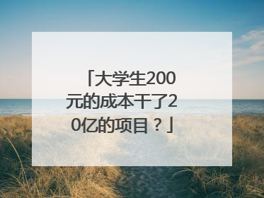 大学生200元的成本干了20亿的项目？