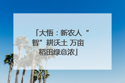 大悟：新农人“智”耕沃土 万亩稻田绿意浓