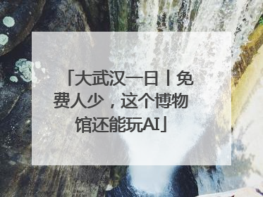 大武汉一日丨免费人少，这个博物馆还能玩AI