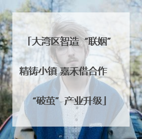 大湾区智造“联姻”精铸小镇 嘉禾借合作“破茧”产业升级