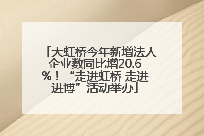大虹桥今年新增法人企业数同比增20.6%！“走进虹桥 走进进博”活动举办