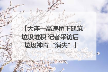 大连一高速桥下建筑垃圾堆积 记者采访后垃圾神奇“消失”