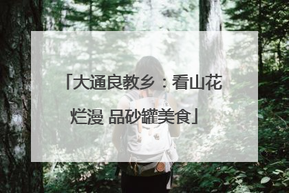 大通良教乡：看山花烂漫 品砂罐美食