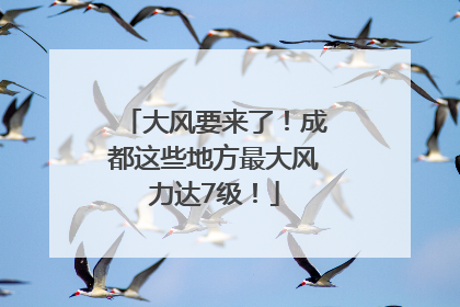 大风要来了！成都这些地方最大风力达7级！