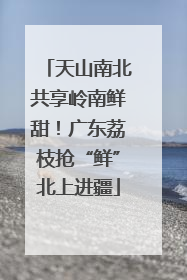 天山南北共享岭南鲜甜！广东荔枝抢“鲜”北上进疆