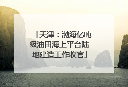 天津：渤海亿吨级油田海上平台陆地建造工作收官