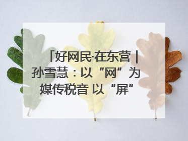好网民·在东营｜孙雪慧：以“网”为媒传税音 以“屏”为介助发展