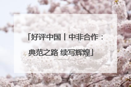 好评中国丨中非合作：典范之路 续写辉煌