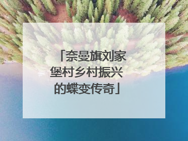 奈曼旗刘家堡村乡村振兴的蝶变传奇