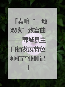奏响“一地双收”致富曲——鄄城县董口镇发展特色种植产业侧记