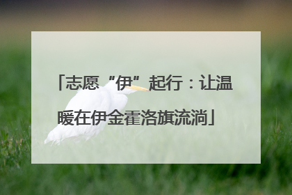志愿“伊”起行：让温暖在伊金霍洛旗流淌