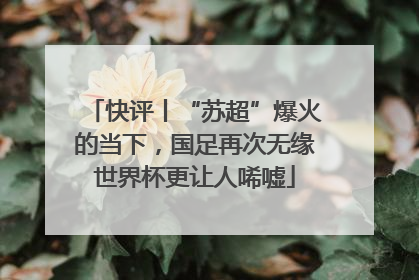 快评丨“苏超”爆火的当下，国足再次无缘世界杯更让人唏嘘