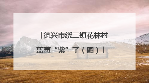 德兴市绕二镇花林村蓝莓“紫”了（图）