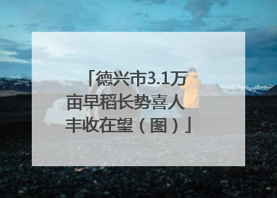 德兴市3.1万亩早稻长势喜人 丰收在望（图）