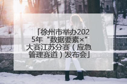 徐州市举办2025年“数据要素×”大赛江苏分赛（应急管理赛道）发布会