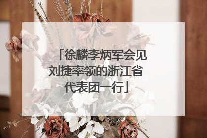 徐麟李炳军会见刘捷率领的浙江省代表团一行