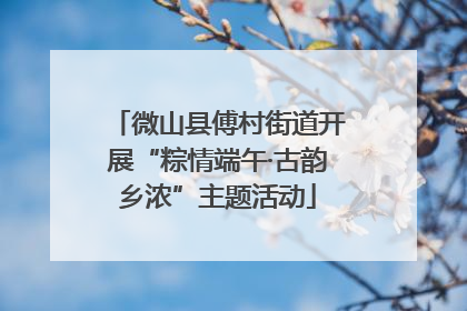 微山县傅村街道开展“粽情端午·古韵乡浓”主题活动