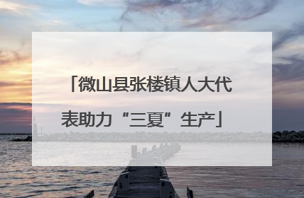 微山县张楼镇人大代表助力“三夏”生产