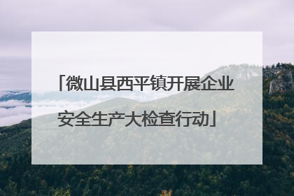 微山县西平镇开展企业安全生产大检查行动