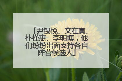 尹锡悦、文在寅、朴槿惠、李明博，他们纷纷出面支持各自阵营候选人