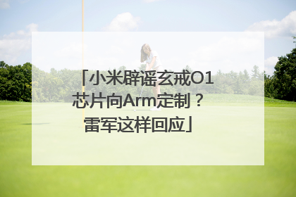 小米辟谣玄戒O1芯片向Arm定制？雷军这样回应