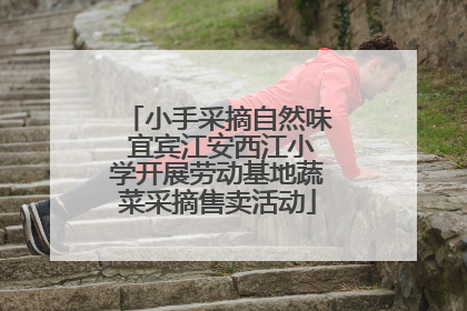 小手采摘自然味 宜宾江安西江小学开展劳动基地蔬菜采摘售卖活动