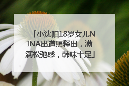 小沈阳18岁女儿NINA出道照释出，满满松弛感，韩味十足