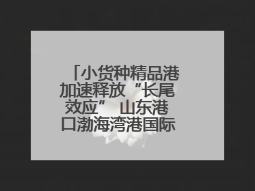 小货种精品港加速释放“长尾效应” 山东港口渤海湾港国际件杂货运业务