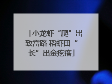 小龙虾“爬”出致富路 稻虾田“长”出金疙瘩