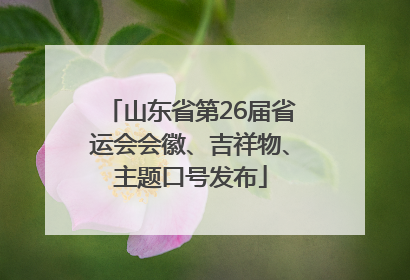 山东省第26届省运会会徽、吉祥物、主题口号发布