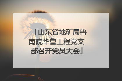 山东省地矿局鲁南院华鲁工程党支部召开党员大会