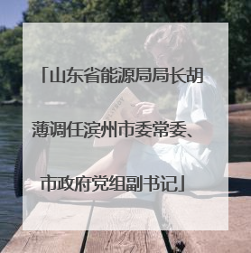 山东省能源局局长胡薄调任滨州市委常委、市政府党组副书记