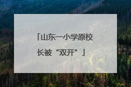 山东一小学原校长被“双开”
