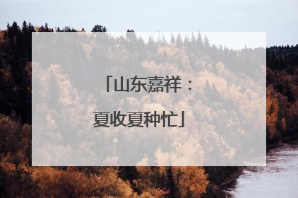 山东嘉祥：夏收夏种忙