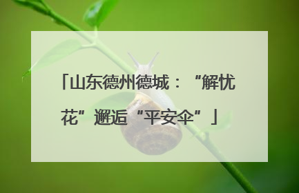 山东德州德城：“解忧花”邂逅“平安伞”