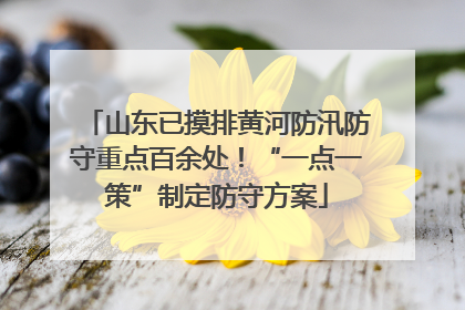 山东已摸排黄河防汛防守重点百余处！“一点一策”制定防守方案