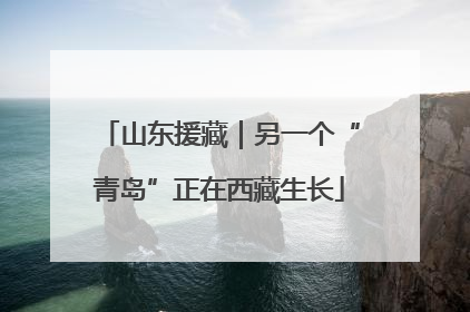 山东援藏｜另一个“青岛”正在西藏生长
