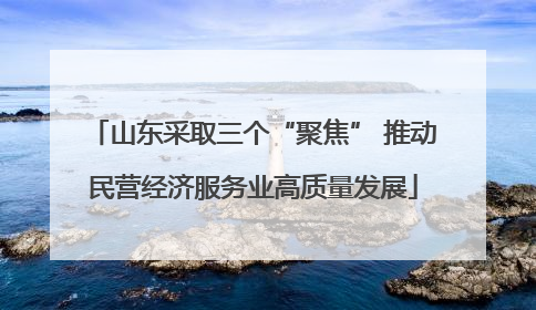 山东采取三个“聚焦” 推动民营经济服务业高质量发展