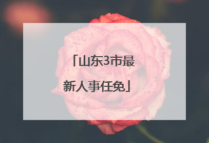 山东3市最新人事任免