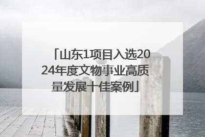 山东1项目入选2024年度文物事业高质量发展十佳案例