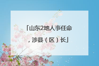 山东2地人事任命，涉县（区）长