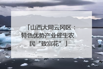 山西大同云冈区：特色优势产业催生农民“致富花”