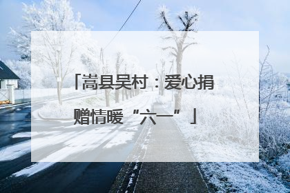 嵩县吴村：爱心捐赠情暖“六一”