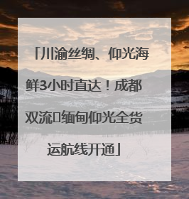 川渝丝绸、仰光海鲜3小时直达！成都双流⇌缅甸仰光全货运航线开通