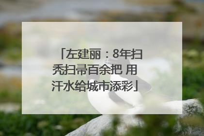 左建丽：8年扫秃扫帚百余把 用汗水给城市添彩