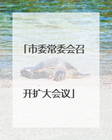 市委常委会召开扩大会议