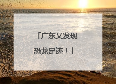 广东又发现恐龙足迹！