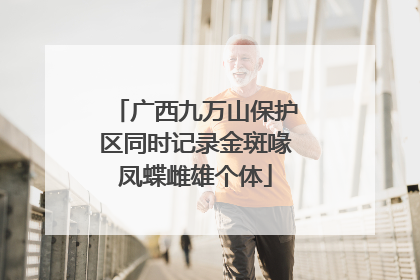 广西九万山保护区同时记录金斑喙凤蝶雌雄个体