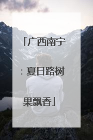 广西南宁：夏日路树果飘香